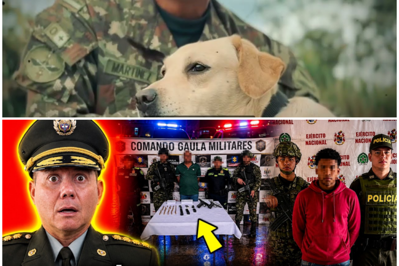 RINCÓN CAPTURA BAHAMEÑO QUE ENVIABA COCAÍNA A EE.UU. – Hww