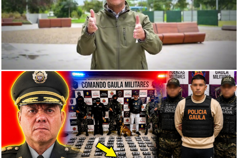 RINCÓN DESMANTELA ‘PANTEÓN’: INFILTRADO 8 MESES – Hww