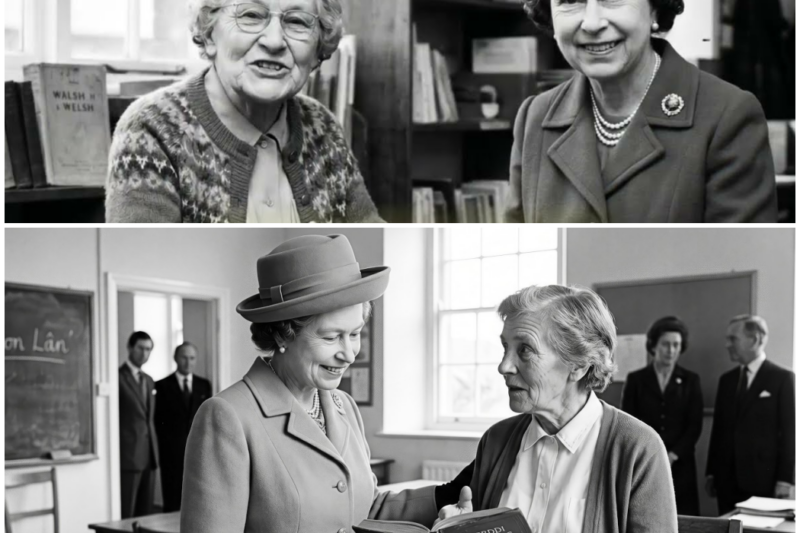 A 71-Year-Old Teacher’s Life Work Was Cancelled in Seconds — The Queen’s Response Stunned Everyone – Hw