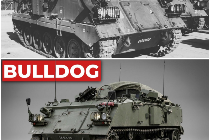The ‘Boring’ British Box That Carried The Army For Fifty Years Without Replacement – Hw