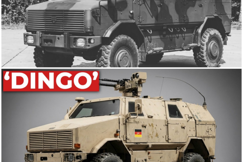 The ‘Oversized’ German MRAP That Survived More IEDs In Afghanistan Than Any Other Vehicle – Hw