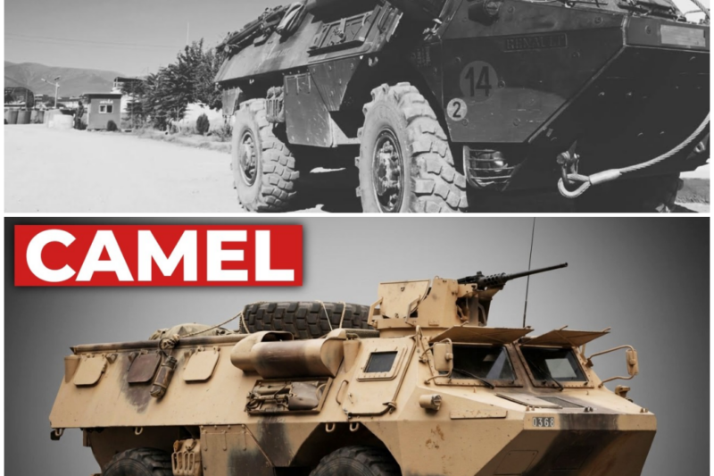 The ‘Simple’ French Carrier That Every Army Dismissed In 1974 And Every Army Still Uses Today – Hw