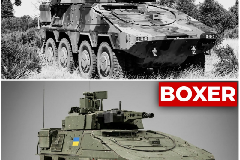 Why This ‘Overpriced’ German Vehicle Could Become Five Completely Different War Machines – Hw