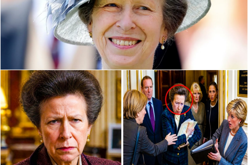 Princess Anne SEIZES Diana’s Private Correspondence Before Camilla’s Team Entered The Windsor Room – H