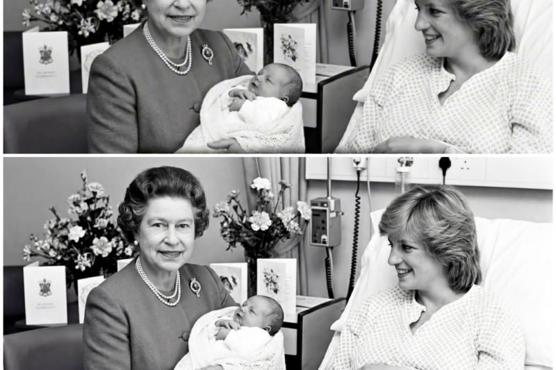 Princess Diana Struggled After William’s Birth – What Queen Elizabeth Said Next Changed Everything – Hw