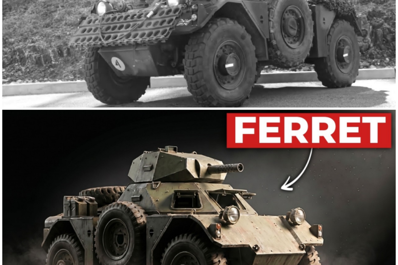 Why This ‘Stubborn’ British Scout Car Outlived Every Tank Built To Replace It –  Hw