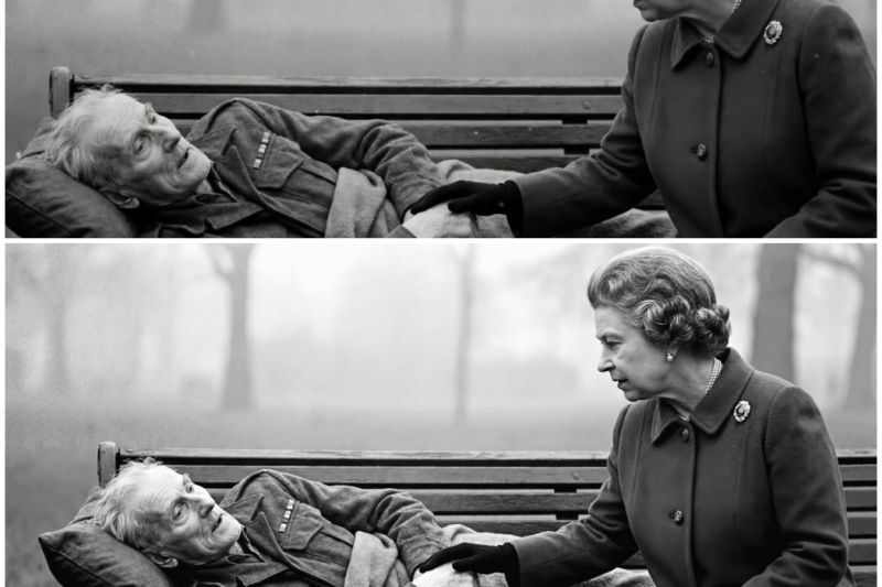 Queen Elizabeth Saw a 95-Year-Old Veteran Sleeping on a Bench – Her Response Stunned Britain –  Hww