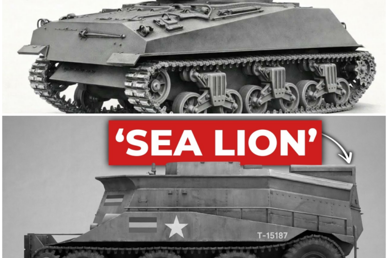 The ‘Armless’ British Tank That Saved D-Day By Pushing Drowned Vehicles Off The Beach –  Hww