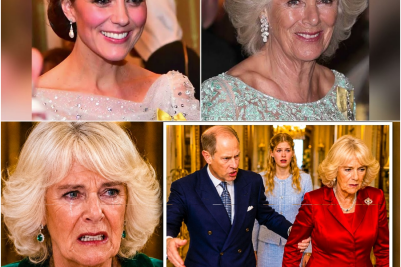 Prince Edward Removes Camilla From Windsor Lodge Signs It Over To Lady Louise – H