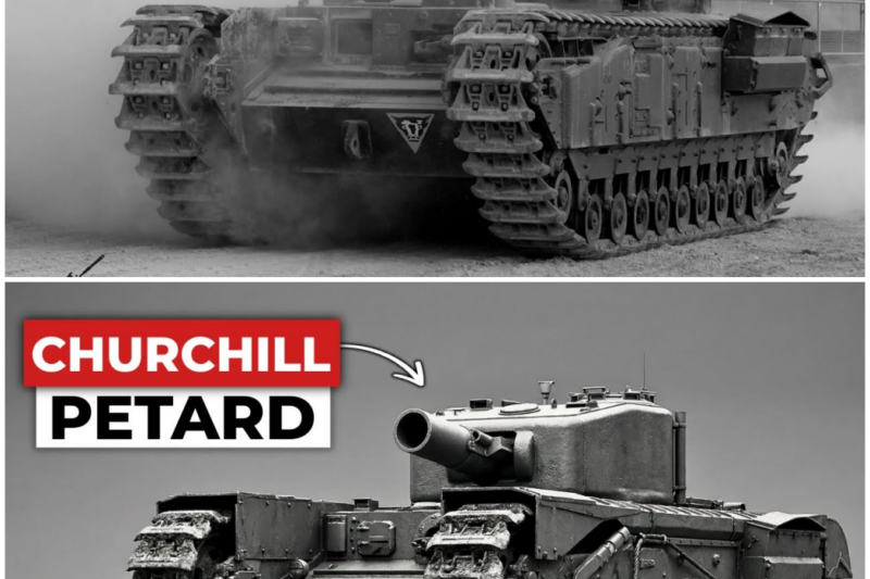 The ‘Bizarre’ British Tank That Threw Dustbins At Nazi Bunkers –  Hww