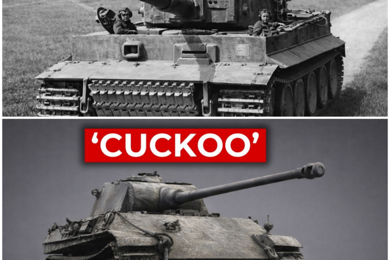 The ‘Stolen’ German Panther That Outperformed Every British Tank It Served Alongside –  Hw