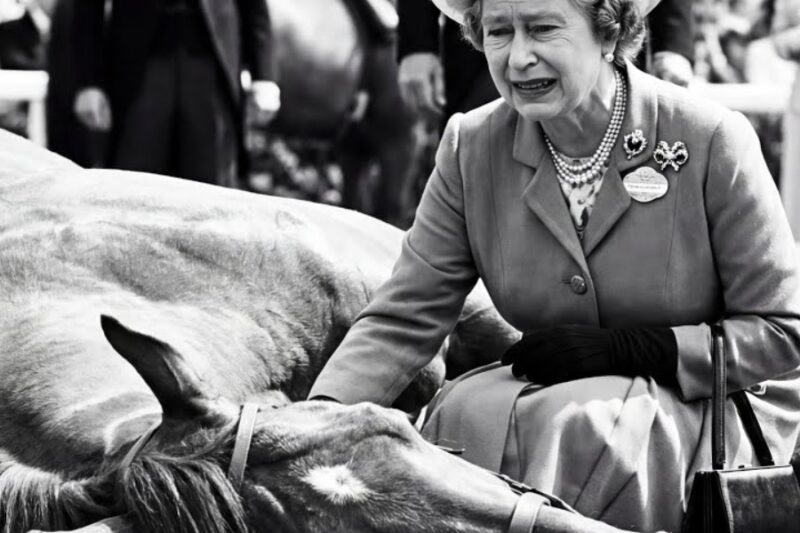 Queen Elizabeth NEVER Cried in 70 Years Until Her Horse Died – What Happened SHOCKED 60k People –  Hw