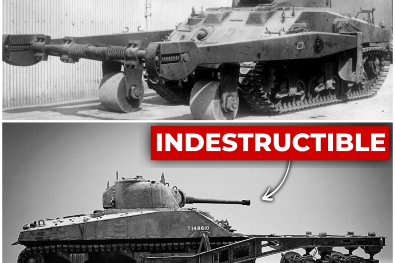 The ‘Unbreakable’ British Rollers That Cleared German Minefields By Crushing Every Mine In Path –  Hw