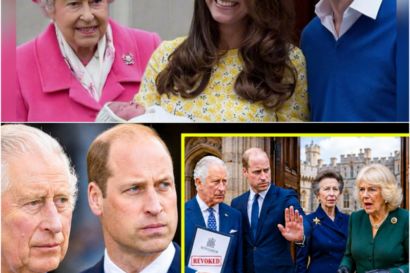 Charles & William Join Forces To Revokes Camilla’s Windsor Privileges Grants Access To Anne Only – H