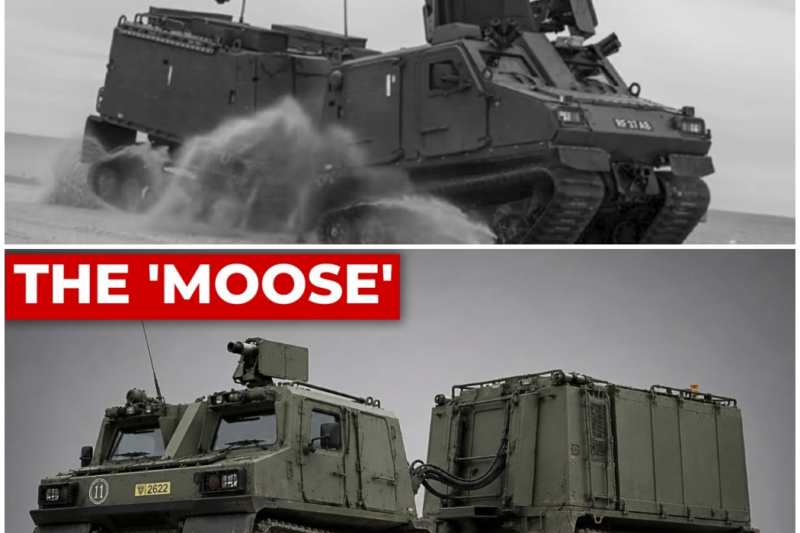 The ‘Bendy’ British Marine Vehicle IEDs Broke In Helmand, Now Hunting Russians In Ukraine –  Hw