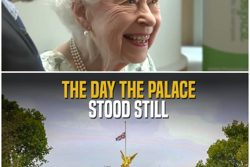 The Day the Palace Stood Still | Full Documentary (2025) – Hw