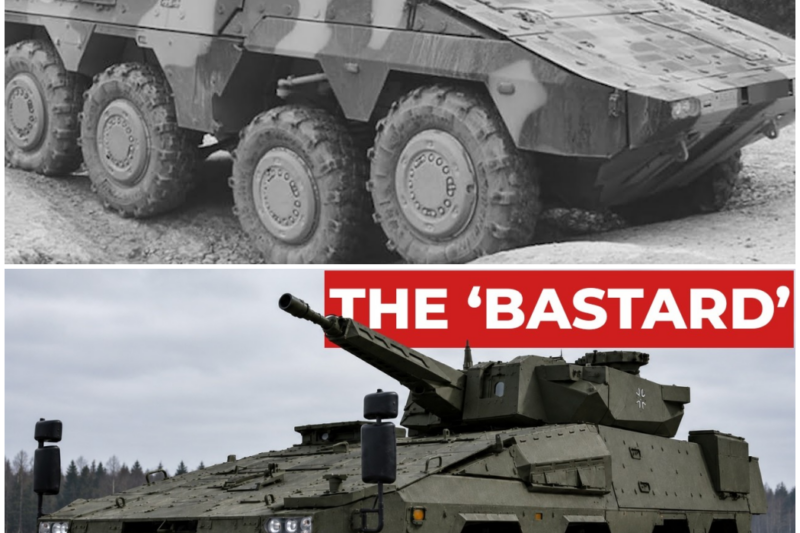 Why The British Army Bet Everything On A ‘German’ 8×8 It Helped Invent Then Abandoned –  Hw